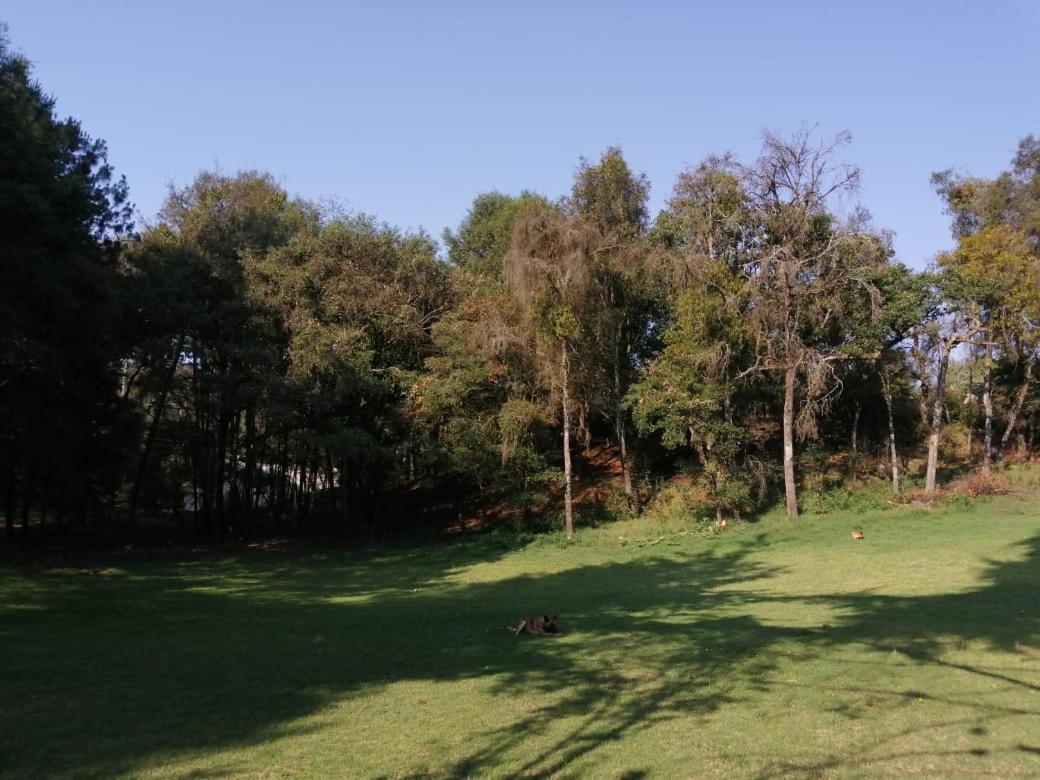 Hotel Bosques Zacatlan Bagian luar foto