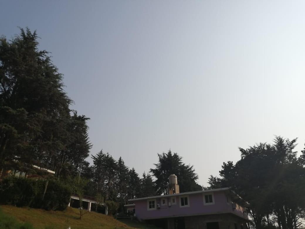 Hotel Bosques Zacatlan Bagian luar foto