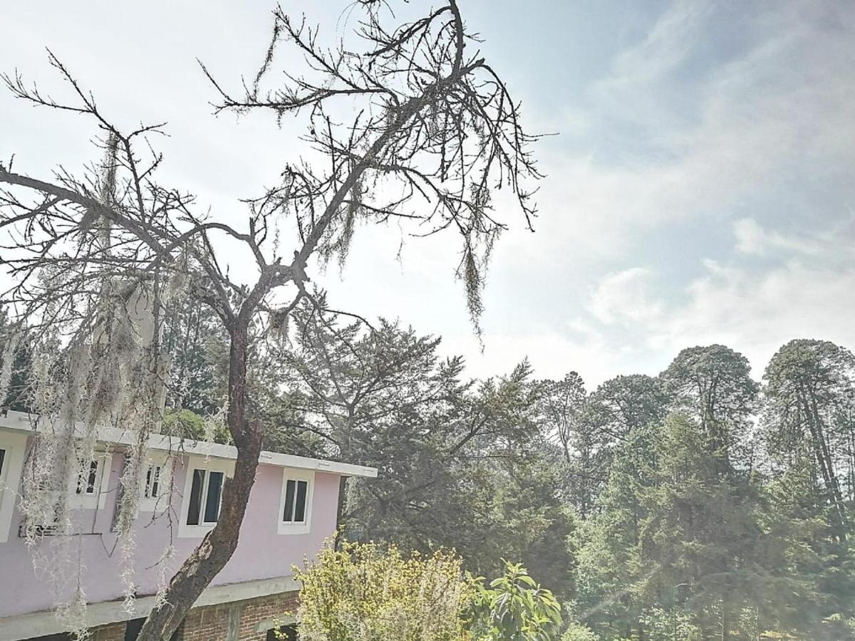 Hotel Bosques Zacatlan Bagian luar foto